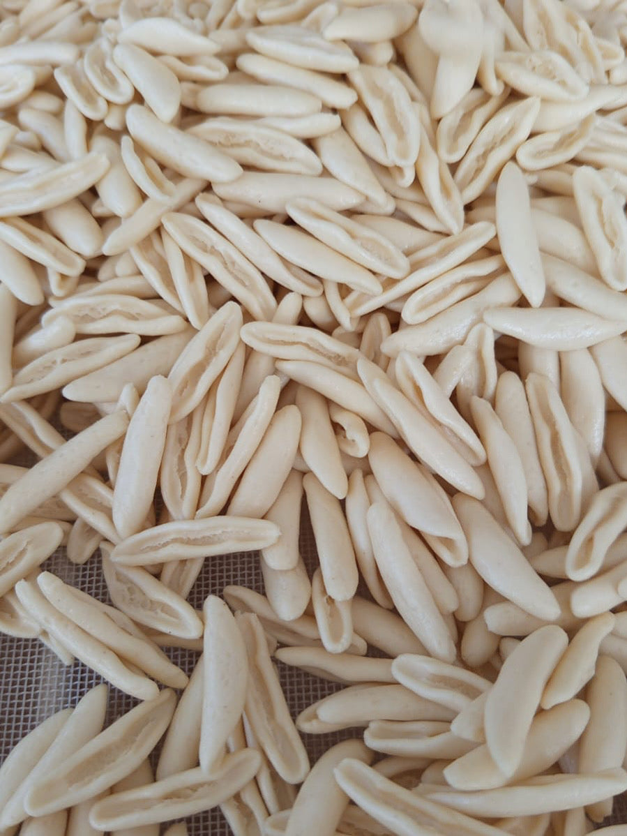 CICATELLI PUGLIESI